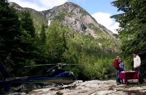 Neues vom Nimmo Bay Wilderness Resort, British Columbia