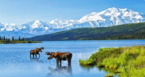 CANUSA TOURISTIK mit neuem Katalog für Alaska & Yukon Denali Alaska (c) koenig/ canusa