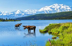 CANUSA TOURISTIK mit neuem Katalog für Alaska & Yukon Denali Alaska (c) koenig/ canusa