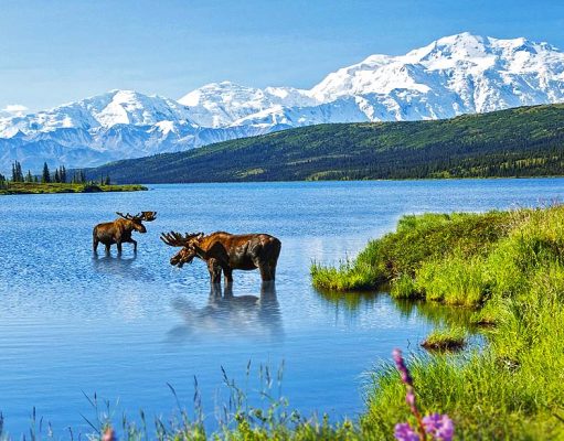 CANUSA TOURISTIK mit neuem Katalog für Alaska & Yukon Denali Alaska (c) koenig/ canusa