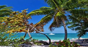 Die 10 schönsten State Parks auf den Florida Keys & Key West Fort Zachary Beach (c) Rob-ONeal