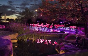 Rockford: Gärten in völlig neuem Licht Light (c) Bruce Munro / Photographer: Mark Pickthall