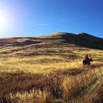 Ausritt über die Hügel Sun Valleys  © Idaho Tourism
