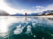 Eisblasen im Abraham Lake – Helikopterflüge zum Naturphänomen Abraham Lake (c) Stevin Tuchiwsky
