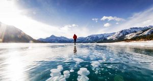 Eisblasen im Abraham Lake – Helikopterflüge zum Naturphänomen Abraham Lake (c) Stevin Tuchiwsky