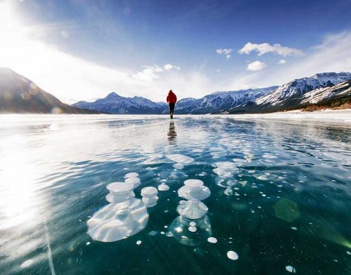 Eisblasen im Abraham Lake – Helikopterflüge zum Naturphänomen Abraham Lake (c) Stevin Tuchiwsky