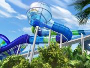Florida: Wasservergnügen mit Wow-Faktor in Aquatica Ray Lush in Aquatica (c) SeaWorld Orlando