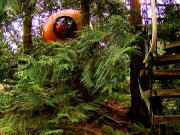 British Columbia Neuigkeiten