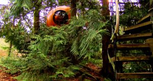 British Columbia Neuigkeiten