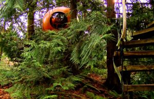 British Columbia Neuigkeiten