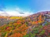 10 Aktivitäten um den Indian Summer in North Carolina zu erleben Blue Ridge Parkway (c) VisitNC