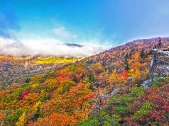 10 Aktivitäten um den Indian Summer in North Carolina zu erleben Blue Ridge Parkway (c) VisitNC