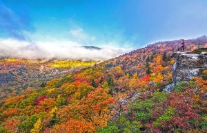 10 Aktivitäten um den Indian Summer in North Carolina zu erleben Blue Ridge Parkway (c) VisitNC