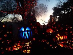 Von Hexen und Kürbissen – Halloween in Neuengland Jack-O-Lantern Spectacular (c) Roger Williams Park Zoo