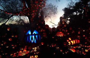 Von Hexen und Kürbissen – Halloween in Neuengland Jack-O-Lantern Spectacular (c) Roger Williams Park Zoo