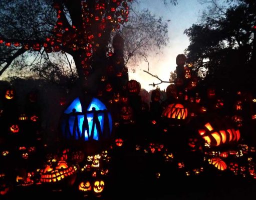 Von Hexen und Kürbissen – Halloween in Neuengland Jack-O-Lantern Spectacular (c) Roger Williams Park Zoo