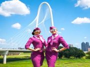 WOW air zieht den Black Friday vier Tage vor WOWair Crew (c) WOW ai