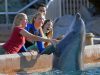 San Diego ist in den Herbstferien ein besonders interessantes Reiseziel für Familien SeaWorld San Diego (c) SeaWorld Parks & Entertainment