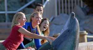 San Diego ist in den Herbstferien ein besonders interessantes Reiseziel für Familien SeaWorld San Diego (c) SeaWorld Parks & Entertainment