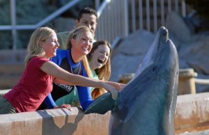 San Diego ist in den Herbstferien ein besonders interessantes Reiseziel für Familien SeaWorld San Diego (c) SeaWorld Parks & Entertainment