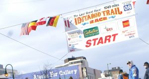 Iditarod – Tier und Mensch am Limit