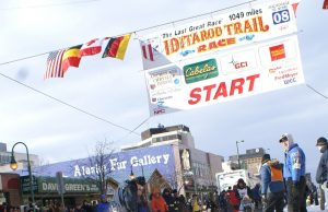 Iditarod – Tier und Mensch am Limit