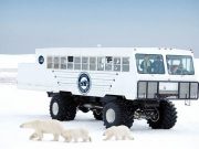 Umweltfreundliche Safari in Manitobas Subarktis FNA Buggy © Robert Taylor