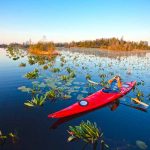 Okefenokee © Georgia-Department-of-Economic-Development