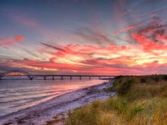 Warum Long Island mehr als Ice(d) Tea zu bieten hat Long Island (c) Discover Long Island