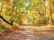 Romantischer Herbsturlaub auf Long Island Herbst (c) Discover Long Island