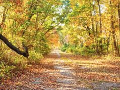 Romantischer Herbsturlaub auf Long Island Herbst (c) Discover Long Island