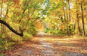 Romantischer Herbsturlaub auf Long Island Herbst (c) Discover Long Island