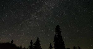 Spruce Woods Provincial Park wird Manitobas erstes Dark-Sky Preserve Dark-Sky Preserve im Spruce Woods Provincial Park (c) Ron Berard / The Royal Astronomical