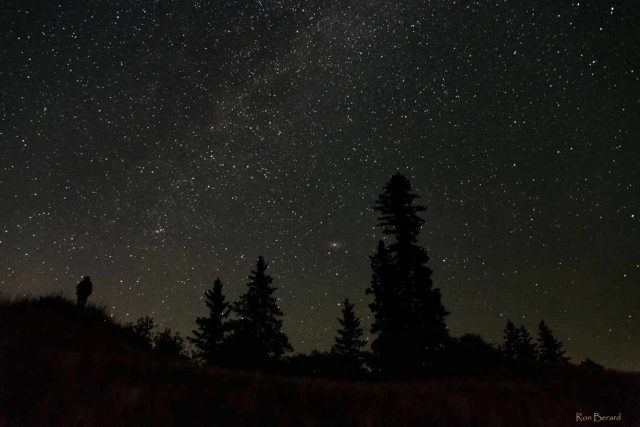 Dark-Sky Preserve im Spruce Woods Provincial Park (c) Ron Berard / The Royal Astronomical