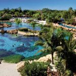 Discovery Cove (c) SeaWorld Parks & Entertainment