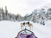 Neue Erlebnisse und Unterkünfte in Alberta Mushing (c) Travel Alberta / Chris Amat
