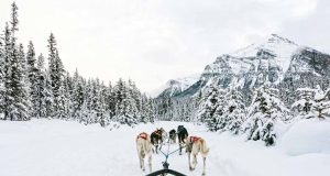 Neue Erlebnisse und Unterkünfte in Alberta Mushing (c) Travel Alberta / Chris Amat