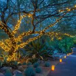 Las Noches del las Luminarias (c) Desert Botanical Garden