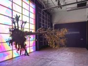 Neue Kunsthalle in San Francisco ThisBurningWorld (c) Impart Photography / johnna arnold