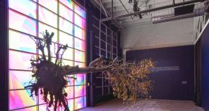 Neue Kunsthalle in San Francisco ThisBurningWorld (c) Impart Photography / johnna arnold