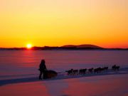 Winter-Events in Alaska: vom Fest der Trapper bis zum Spring Carnival Alaska Mushing (c) Chris McLennan