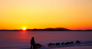 Winter-Events in Alaska: vom Fest der Trapper bis zum Spring Carnival Alaska Mushing (c) Chris McLennan
