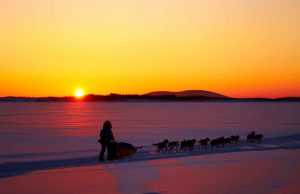 Winter-Events in Alaska: vom Fest der Trapper bis zum Spring Carnival Alaska Mushing (c) Chris McLennan