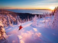 Winter-News aus Wyoming und Montana Whitefish Mountain Resort (c) Montana Office of Tourism Noah Couser