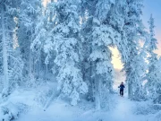 7 Gründe für den Winter in den Northwest Territories Winter in den Northwest Territories (c) NWT Tourism & Pierre Emmanuel Chaillon