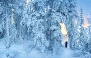 7 Gründe für den Winter in den Northwest Territories Winter in den Northwest Territories (c) NWT Tourism & Pierre Emmanuel Chaillon