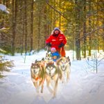 Hundeschlittenfahrt Sundogs Excursions (c) Tourism Saskatchewan & Greg Huszar Photography
