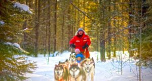 Wenn der Schnee fällt in Saskatchewan… Hundeschlittenfahrt Sundogs Excursions (c) Tourism Saskatchewan & Greg Huszar Photography