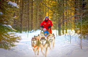 Wenn der Schnee fällt in Saskatchewan… Hundeschlittenfahrt Sundogs Excursions (c) Tourism Saskatchewan & Greg Huszar Photography