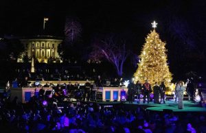 Der National Christmas Tree feiert Jubiläum National Christmas Tree (c) NPS Photo Kelsey Graczyk
